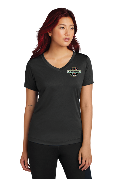 Women's Performance V-Neck Tee